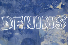 DENIMS