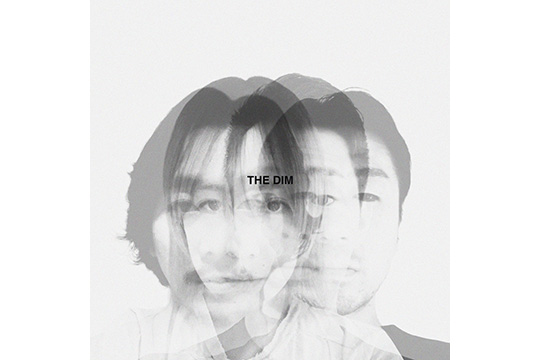 THE DIM photo
