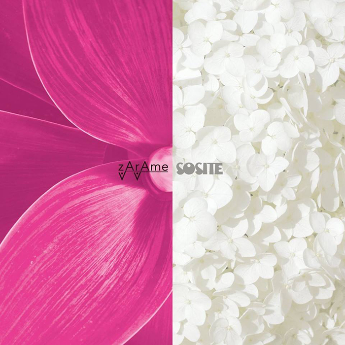 zArAme / SOSITE  スプリット 7㌅レコード ZARAME / SOSITE / SPLIT / 7