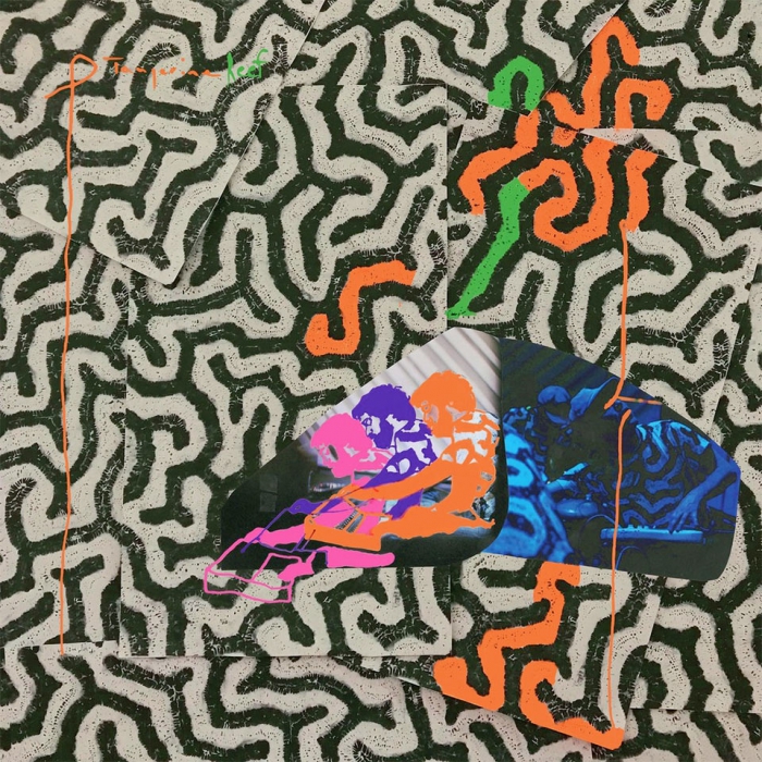 Animal Collective Tangerine Reef Coloured Vinyl 2lp 4 690