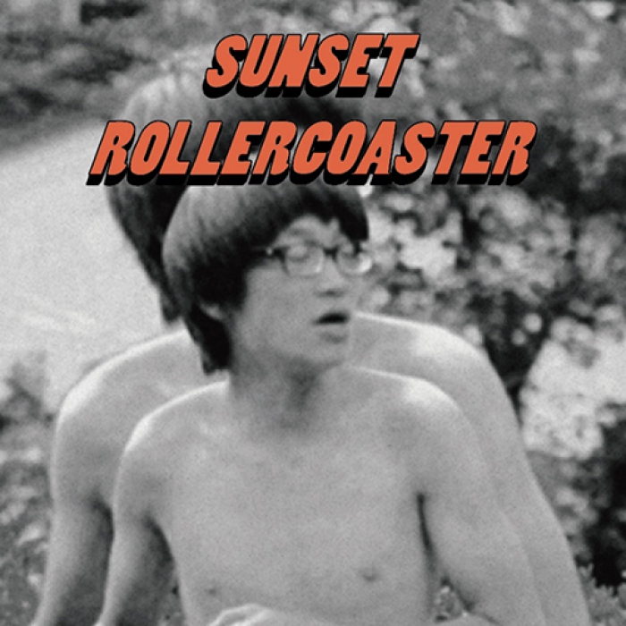 落日飛車/SUNSET ROLLERCOASTER レコード4枚セット