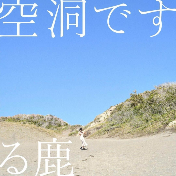 る鹿 / 空洞です (YELLOW VINYL) / 12