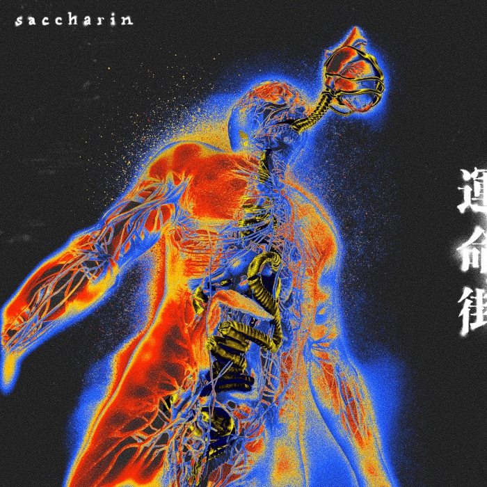 SACCHARIN / 運命街 / CD / ￥2,000