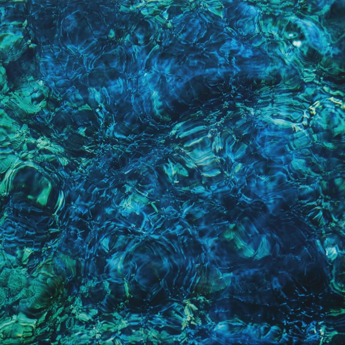 日本最大級 (青葉市子) AOBA ICHIKO / ￥4,400 / LP / CREATURES LUMINESCENT Japanese Music