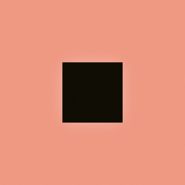 Bon Iver SABLE, fABLE限定盤Black&SALMON Bon Iver · Sable, Fable (LP) [Limited Black & Salmon